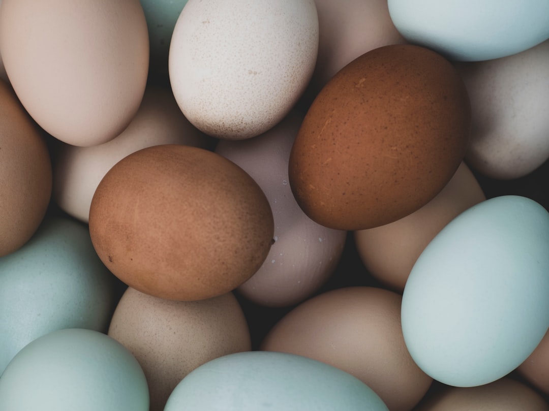 Eggs